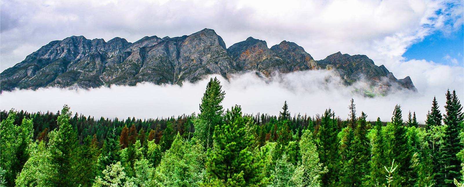 Zhejiang Zhongli Matériaux synthétiques Technology Co., Ltd.